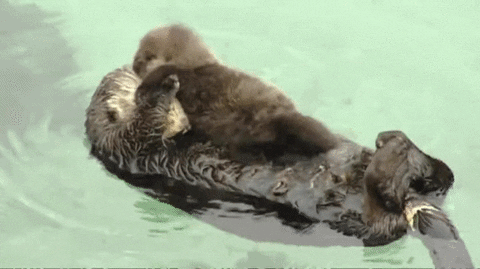 video baby GIF