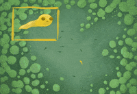 kat-vita green surprise yellow science GIF