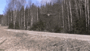 hoo GIF