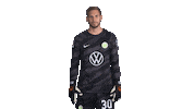 Germany Win Sticker by VfL Wolfsburg