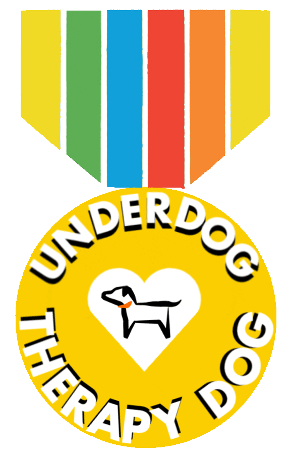 UnderdogInternational dog rainbow dogs puppy Sticker