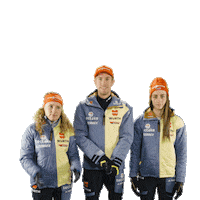 Ski Dsv Sticker by Wuerth Germany