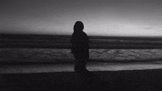 Seed GIF by TAEYANG