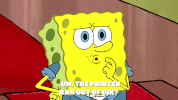 season 9 episode 3 GIF by SpongeBob SquarePants