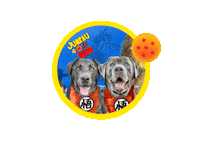 Dragon Ball Z Sticker by Pimp Yo Pets