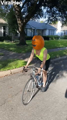 Pumpkin Head Fail GIF by ViralHog