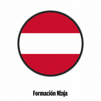 Flag Bandera GIF by Formación Ninja