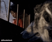 Angry Stare GIF