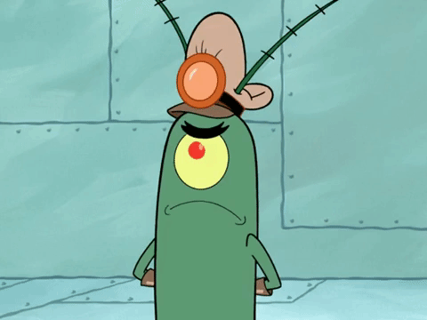 season 6 pet or pets GIF by SpongeBob SquarePants