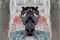 Wundersaar wundersaar GIF