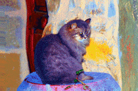 Wundersaar wundersaar GIF