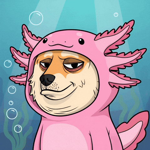 Tired Shiba Inu GIF by Doge Pound