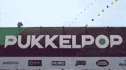 loop festival GIF by Pukkelpop