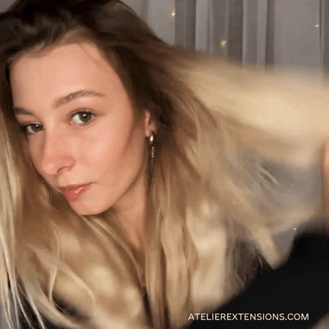 AtelierExtensions giphyupload GIF