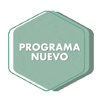 Sticker by Canal Jockey Plaza