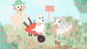 HoneyBooDesigns cat animals dogs spring GIF