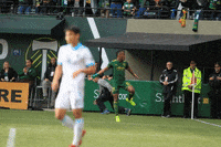 celebrate major league soccer GIF by Timbers