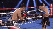toprank fight boxing fighting espn GIF