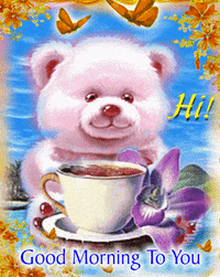 hi GIF
