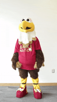 Great Job Thumbs Up GIF by Bridgewater College