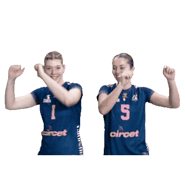 Volleyball Smile Sticker by Neptunes_VolleyBall