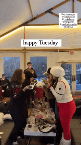 vilecoyote giphyupload GIF