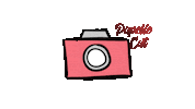 papeliecutt camera foto papelaria momento Sticker