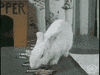 open knowledge art GIF by Okkult Motion Pictures