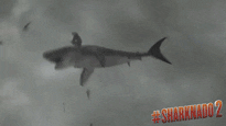 GIF by Sharknado 2