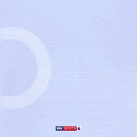 Football Soccer GIF by skysports