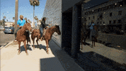 beverly hills horse GIF by The Bachelorette