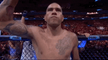 Alex Pereira Sport GIF by UFC