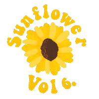 wtchmebloom harry styles girasol fine line luceese Sticker