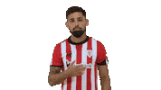 Celebrating San Mames Sticker by Athletic Club