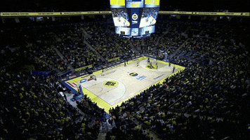 Sport Basketball GIF by EuroLeague
