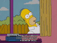 homer simpson GIF