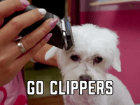 Go Clippers