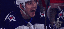 Ice Hockey Reaction GIF by NHL