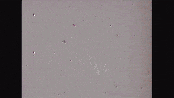 mother's day art GIF by MFD