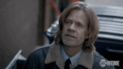 season 5 showtime GIF by Shameless