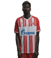 Red Star Football Sticker by FK Crvena zvezda