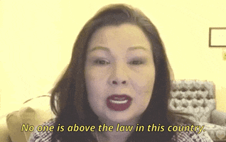 Tammy Duckworth Aapi GIF by GIPHY News