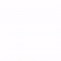 Great Dane Dog GIF