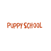 First Day Of School Sticker by Dog Dog Encaminando a tu perro