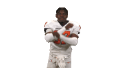 Cnfb26 Sticker by Carson-Newman Athletics