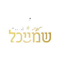 Tyhashem Sticker by Thank You Hashem