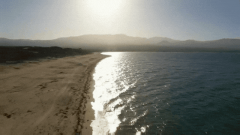 fox beach GIF by Paradise Hotel
