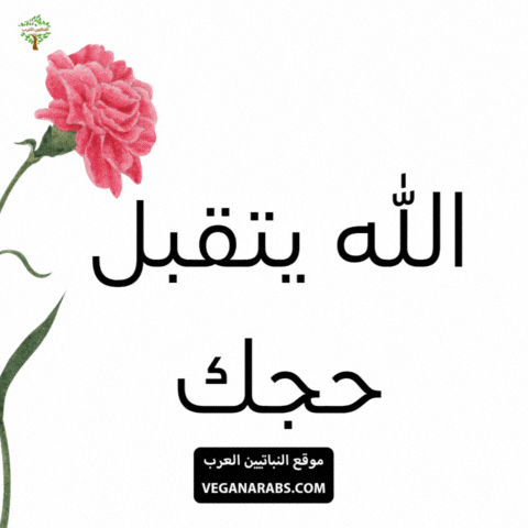 Eid Allah GIF by VeganArabs