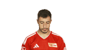 Look Up Union Berlin Sticker by Bundesliga