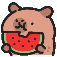 Watermelon Eat Sticker by sansanplanet